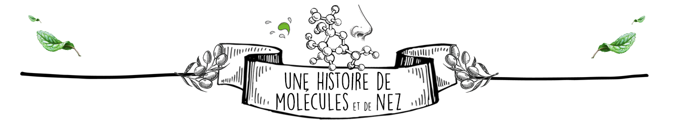 Huile Essentielle de Niaouli en Diffusion : Le Guide Complet par Olyaris